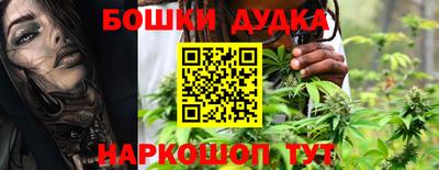 сатива Можга
