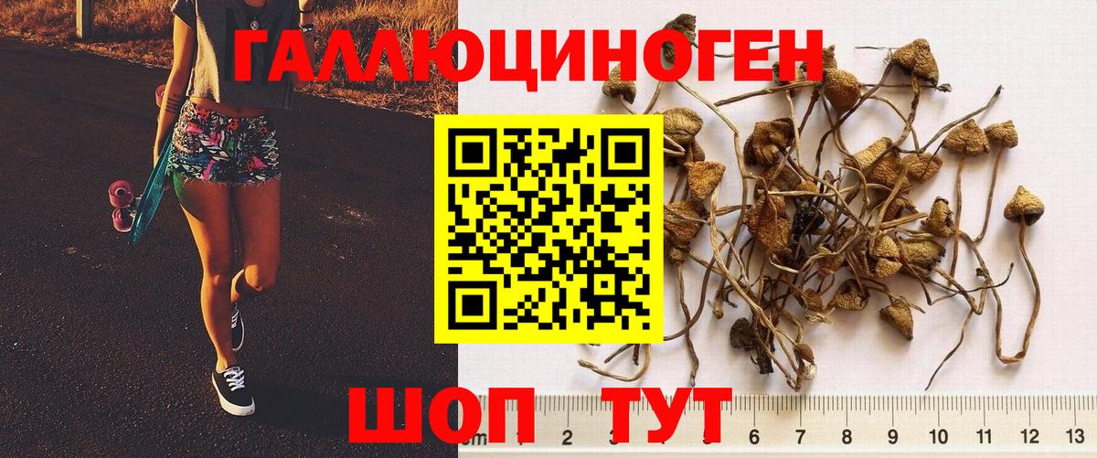 Шумерля  Псилоцибиновые грибы мухоморы  Вход с VPN  Псилоцибиновые грибы Psilocybine cubensis 