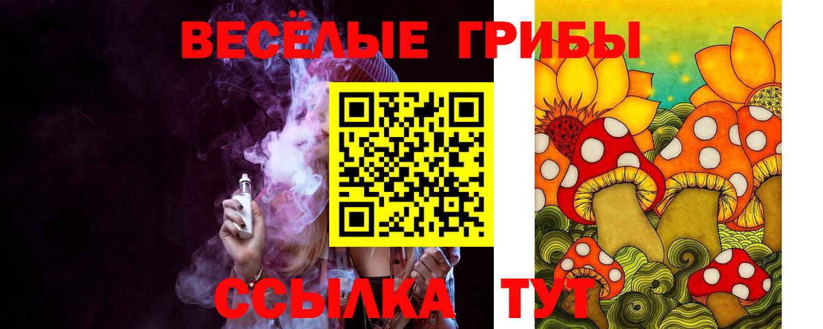 Псилоцибиновые грибы GOLDEN TEACHER Шумерля